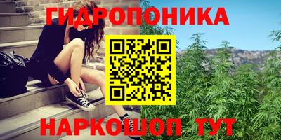 ешки Краснодар
