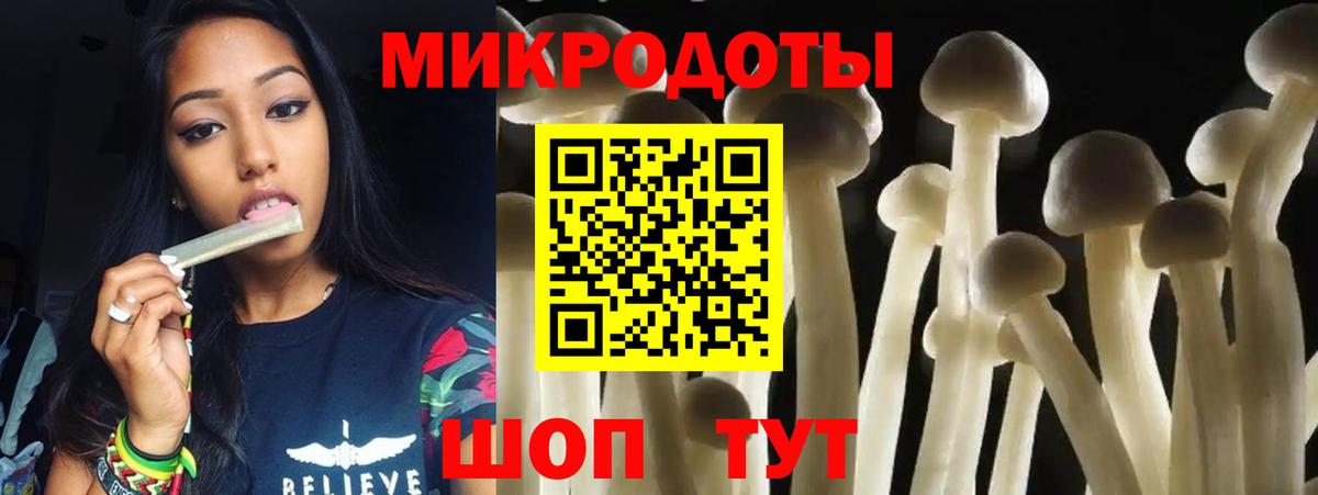 Галлюциногенные грибы Psilocybe Кингисепп