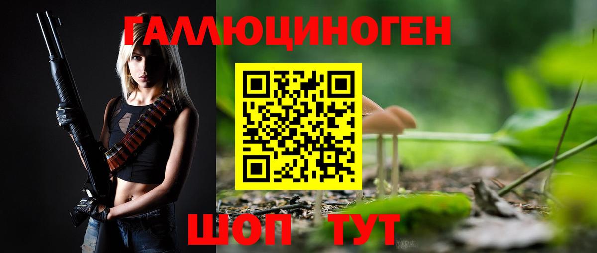 Кингисепп  Псилоцибиновые грибы MAGIC MUSHROOMS  что такое наркотик  Вход с VPN 